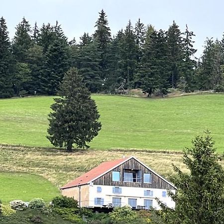 Maison D'Hotes Des Hauts De La Piquante Pierre Basse-sur-le-Rupt Dış mekan fotoğraf