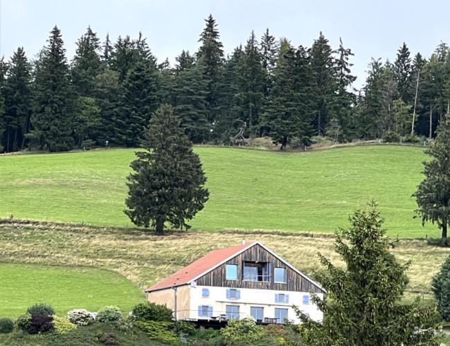 Maison D'Hotes Des Hauts De La Piquante Pierre Basse-sur-le-Rupt Dış mekan fotoğraf